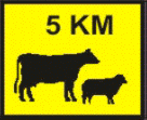 General Knowledge question illustration