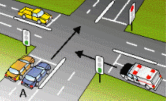 General Knowledge question illustration