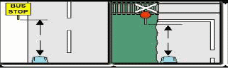 General Knowledge question illustration